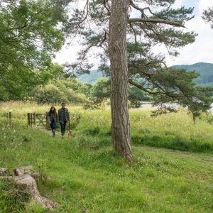 Bassenthwaite030