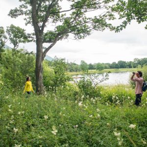 Bassenthwaite088