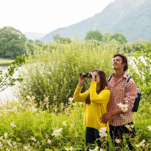 Bassenthwaite102