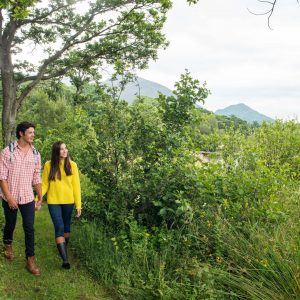 Bassenthwaite115